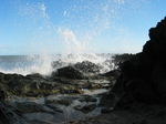 24242 Spray of waves splashing on rocks.jpg